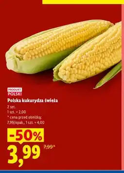Lidl Kukurydza świeża polska oferta