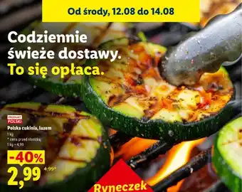 Lidl Cukinia polska luzem oferta