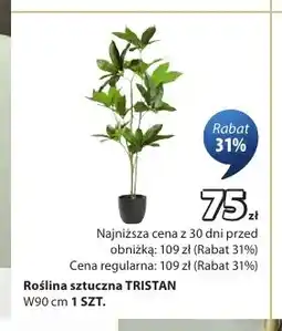 JYSK Roślina sztuczna Tristan oferta