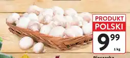 Intermarche Pieczarka luz oferta