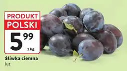 Intermarche Śliwka ciemna polska luz oferta
