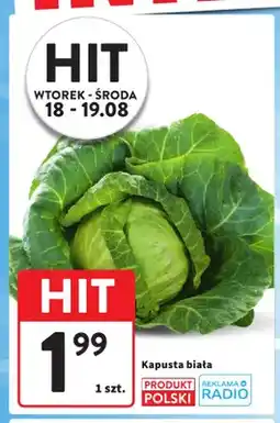 Intermarche Kapusta biała oferta