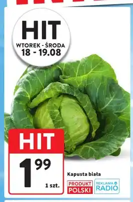 Kapusta biała