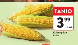 Intermarche Kukurydza kolba oferta