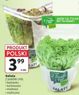 Intermarche Sałata karbowana Z Sadów i Pól oferta
