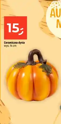 Dealz Ceramiczna dynia oferta