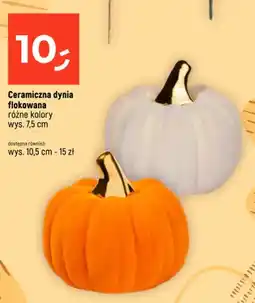 Dealz Ceramiczna dynia flokowana oferta