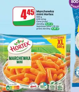 Dino Marchewka Hortex oferta