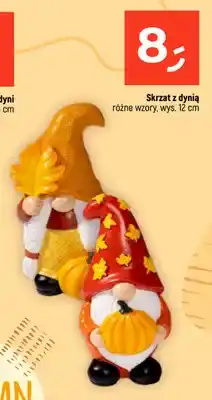 Dealz Skrzat z dynią oferta