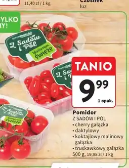 Intermarche Pomidor cherry gałązka Z Sadów I Pół oferta