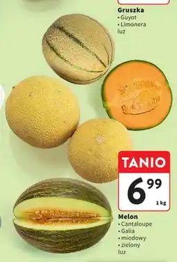 Intermarche Melon Cantaloupe luz oferta