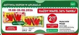 Żabka Wafel E.Wedel WW Lody oferta