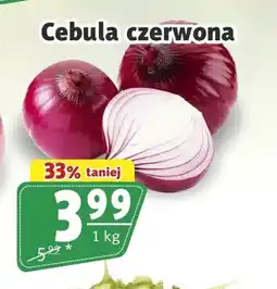Prim Market Cebula czerwona oferta