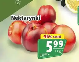 Prim Market Nektarynki oferta