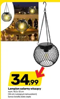Bricomarche Lampion solarny wiszący oferta