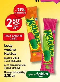 Żabka Lody wodne Kaktus Gibek oferta