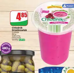 Dino Chłodnik Grześkowiak oferta
