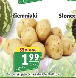 Prim Market Ziemniaki oferta