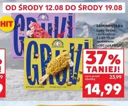 Kaufland Lody Sammontana oferta
