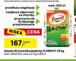 Leroy Merlin Nawóz do trawnika jesienny Florovit oferta