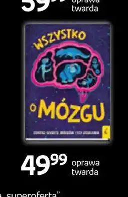 Empik Książka Wszystko o mózgu Wilga oprawa twarda oferta