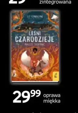 Empik Książka Leśni czarodzieje Wilga oferta