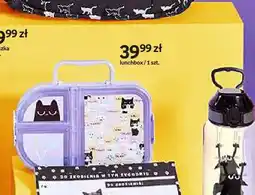Empik Lunchbox Purrrfect School oferta