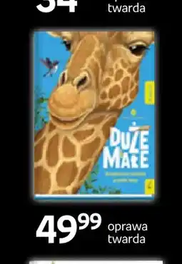 Empik Książka Duże i małe Wilga oferta