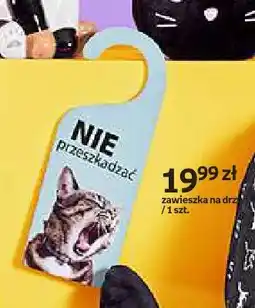 Empik Zawieszka na drzwi Purrrfect School oferta