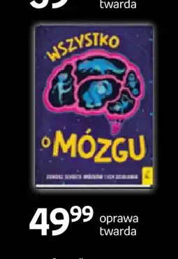 Empik Książka Wszystko o mózgu Wilga oferta