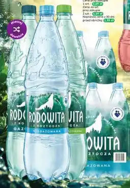 Dino Woda mineralna gazowana Rodowita oferta