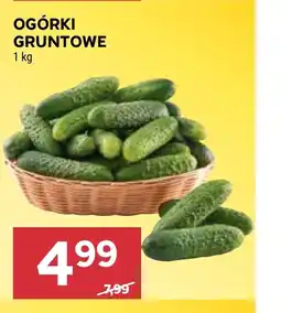 Stokrotka Market Ogórki oferta