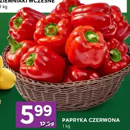 Stokrotka Express Papryka oferta
