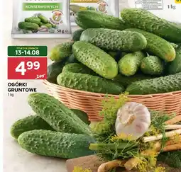 Stokrotka Ogórki oferta