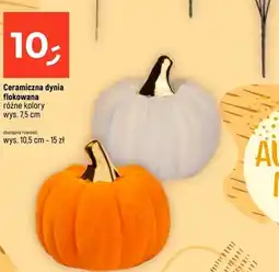 Dealz Dynia oferta