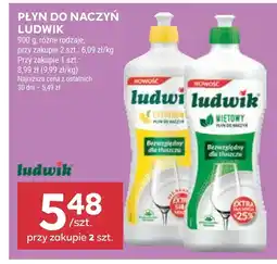 Stokrotka Płyn do naczyń Ludwik oferta
