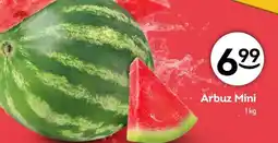 Żabka Arbuz oferta