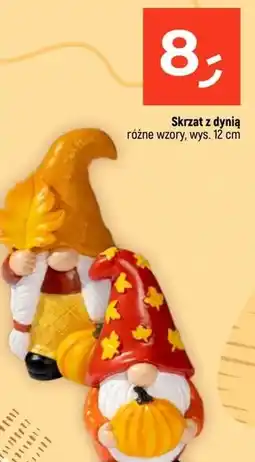 Dealz Skrzat oferta
