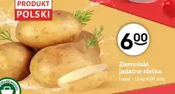 Żabka Ziemniaki Polski oferta