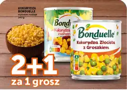 Groszek Kukurydza Bonduelle oferta