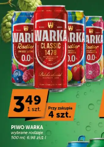 Groszek Piwo Warka oferta