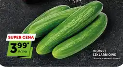Groszek Ogórki Szklarniowe oferta