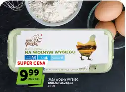 Groszek Jaja Wolny Wybieg Kurza Paczka M oferta