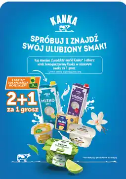 Groszek Serek homogenizowany Kanka oferta