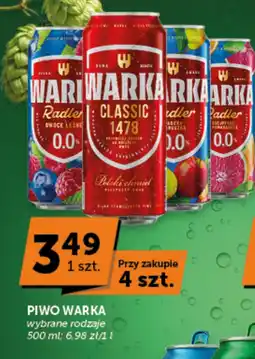 Groszek Piwo Warka oferta