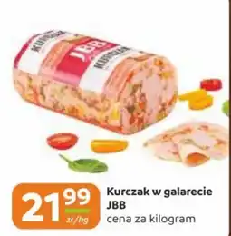 Gama Kurczak w galarecie JBB oferta