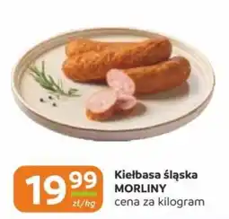 Gama Kielbasa Śląska Morliny oferta