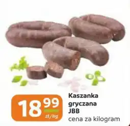 Gama Kaszanka gryczana JBB oferta
