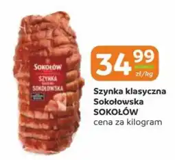 Gama Szyńka klasyczna Sokołowska SOKOŁÓW oferta
