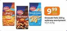 Gama Orzeszki Felix oferta